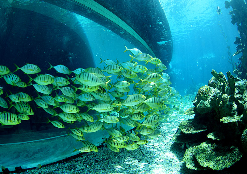 水中你必須注意的十個(gè)細(xì)節(jié)