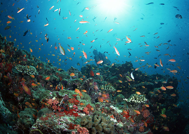 水下會(huì)遇到的問題解決方法