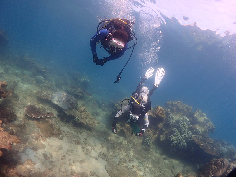 新晉潛水員常犯的錯(cuò)誤