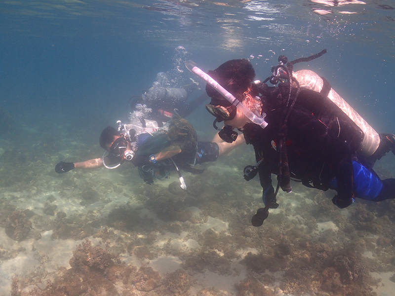 初學(xué)潛水易犯的錯(cuò)誤