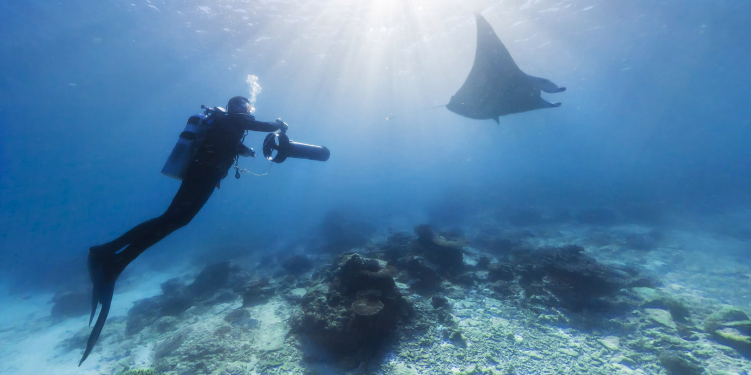 注意，這幾種情況下不能潛水
