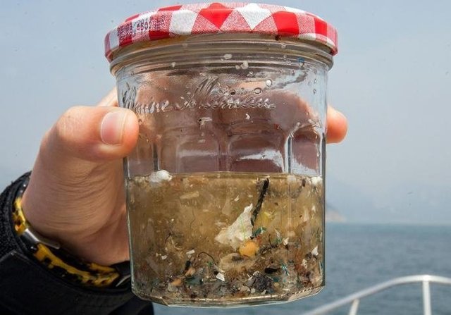 如果知道海洋中的塑料垃圾會進入人類肚子，你還會丟嗎？
