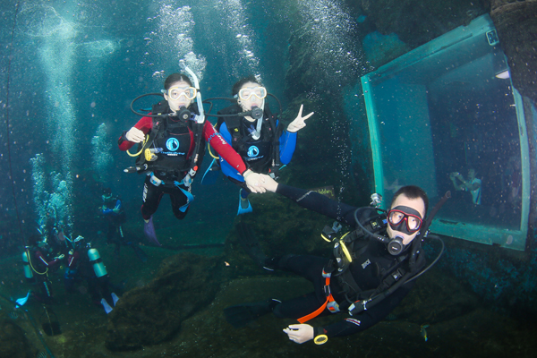 12/12正式上線！PADI 最新課程【休閑潛水員Resort Diver】 丨 一天拿證，潛遍全球