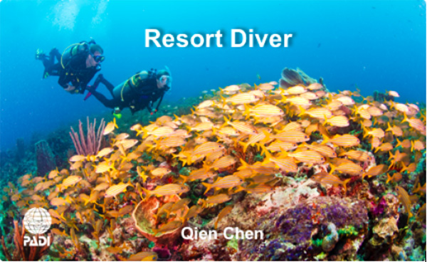 12/12正式上線！PADI 最新課程【休閑潛水員Resort Diver】 丨 一天拿證，潛遍全球